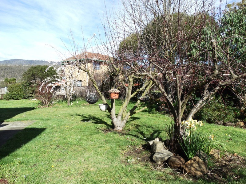 61 Rees Place, New Norfolk TAS 7140