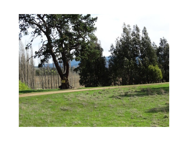 649 Gordon River Road, Bushy Park TAS 7140