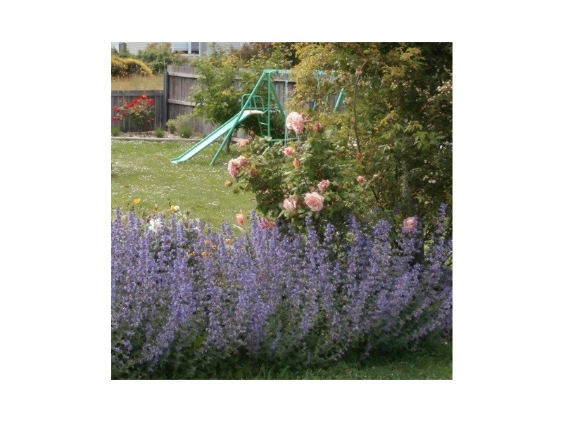 649 Gordon River Road, Bushy Park TAS 7140