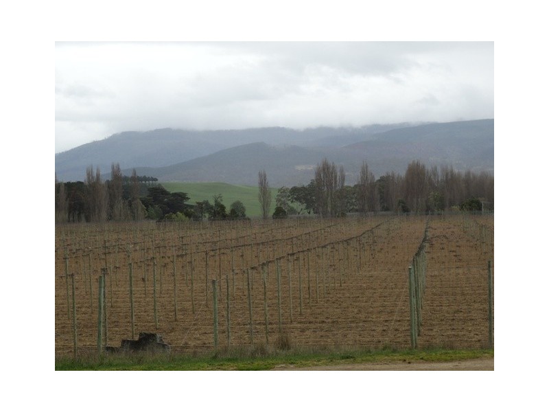 649 Gordon River Road, Bushy Park TAS 7140