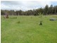 180 Pearces Road, Strickland TAS 7140