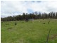 180 Pearces Road, Strickland TAS 7140
