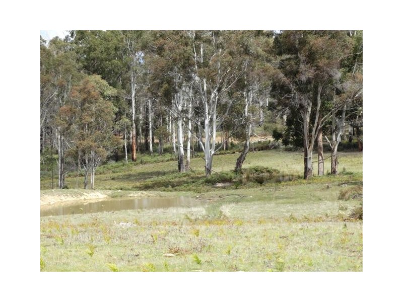 180 Pearces Road, Strickland TAS 7140