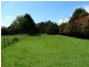 1595 Gordon River Rd, Westerway TAS 7140