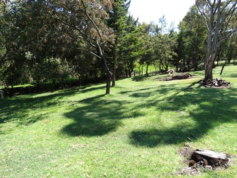 1595 Gordon River Rd, Westerway TAS 7140