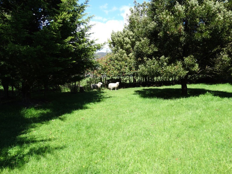 1595 Gordon River Rd, Westerway TAS 7140