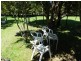 1595 Gordon River Rd, Westerway TAS 7140