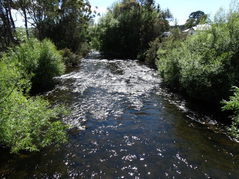 1595 Gordon River Rd, Westerway TAS 7140
