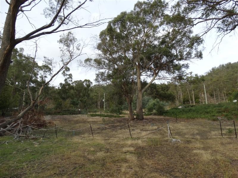 71 Douglas Road, Molesworth TAS 7140