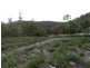 71 Douglas Road, Molesworth TAS 7140