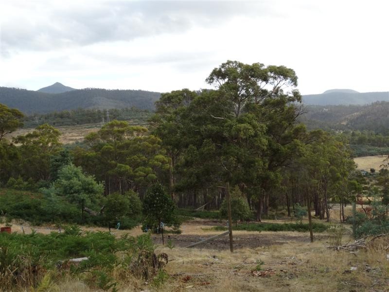 71 Douglas Road, Molesworth TAS 7140