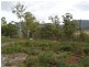 71 Douglas Road, Molesworth TAS 7140