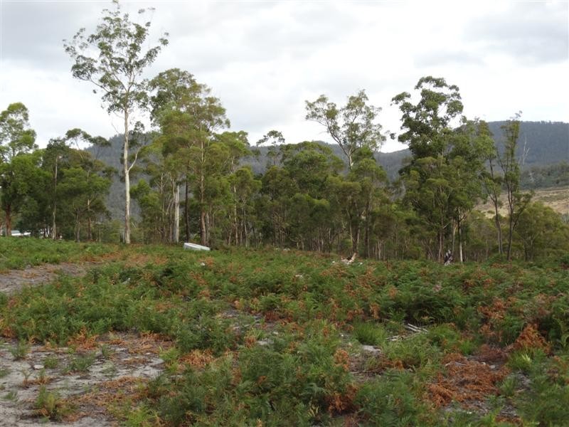71 Douglas Road, Molesworth TAS 7140