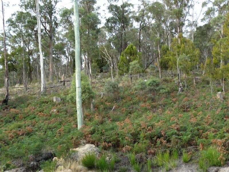 71 Douglas Road, Molesworth TAS 7140