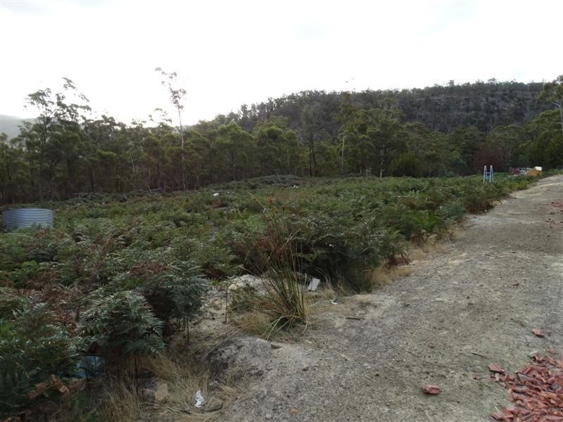 71 Douglas Road, Molesworth TAS 7140