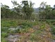 71 Douglas Road, Molesworth TAS 7140