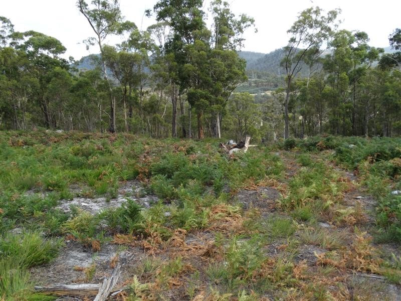 71 Douglas Road, Molesworth TAS 7140