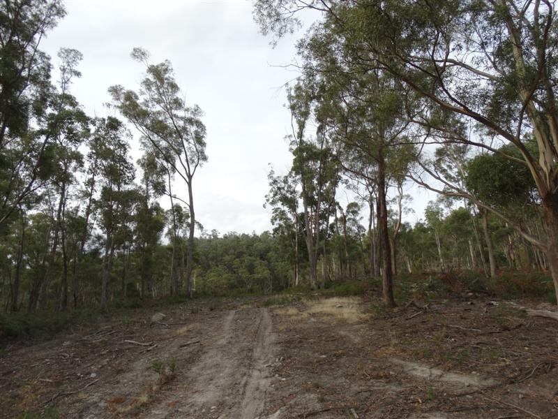 71 Douglas Road, Molesworth TAS 7140