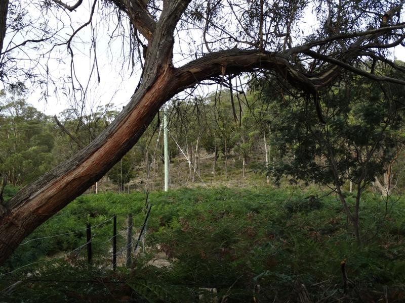 71 Douglas Road, Molesworth TAS 7140