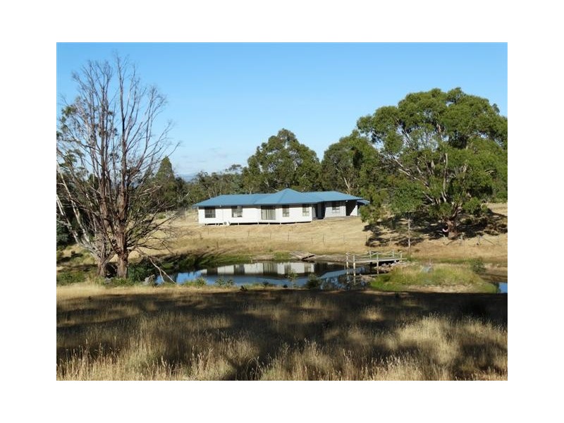 49 Richardsons Road, Black Hills TAS 7140