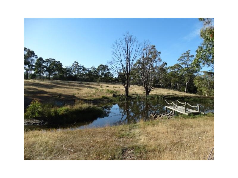 49 Richardsons Road, Black Hills TAS 7140