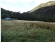 730 Molesworth Road, Molesworth TAS 7140
