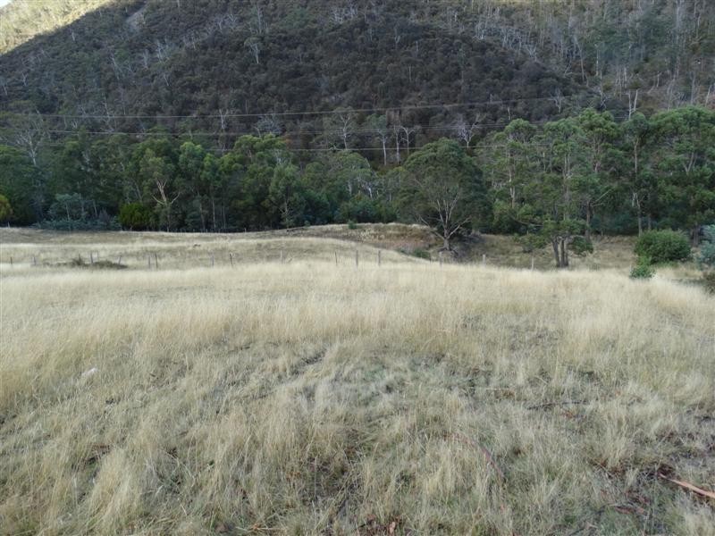 730 Molesworth Road, Molesworth TAS 7140