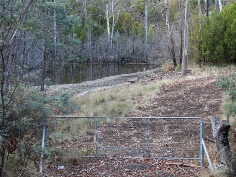 730 Molesworth Road, Molesworth TAS 7140