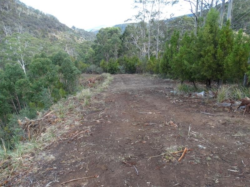 730 Molesworth Road, Molesworth TAS 7140