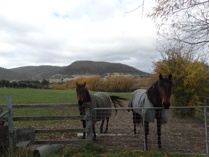 Lot 2 Daniels Road, Magra TAS 7140