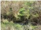Lots 2 and 3 Back River Road, Magra TAS 7140