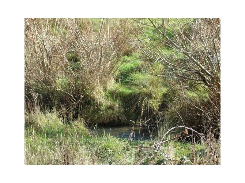 Lots 2 and 3 Back River Road, Magra TAS 7140