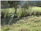Lots 2 and 3 Back River Road, Magra TAS 7140