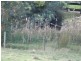 Lots 2 Black Hills Road, Magra TAS 7140