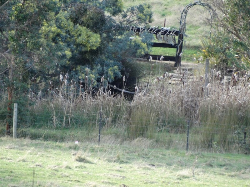 Lots 2 Black Hills Road, Magra TAS 7140