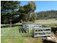 Lots 2 Black Hills Road, Magra TAS 7140