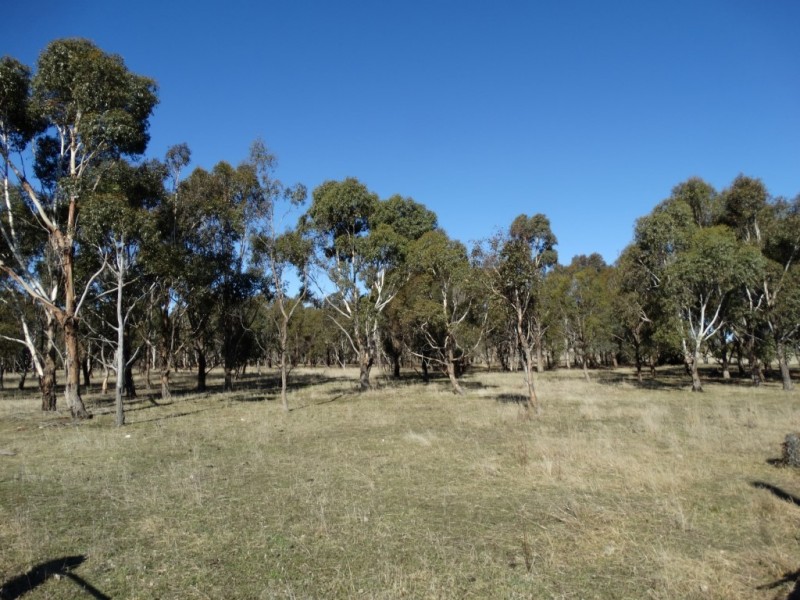 48 High Street, Bothwell TAS 7030