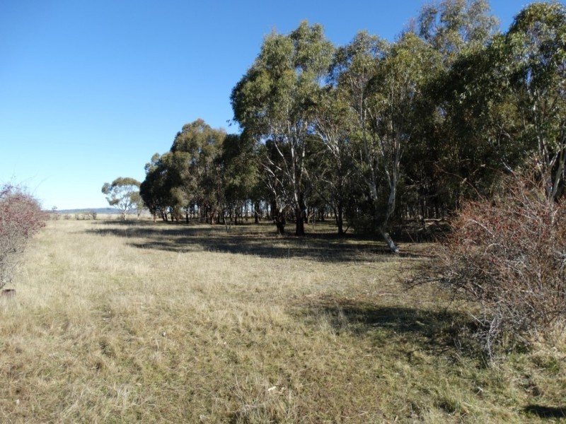 48 High Street, Bothwell TAS 7030