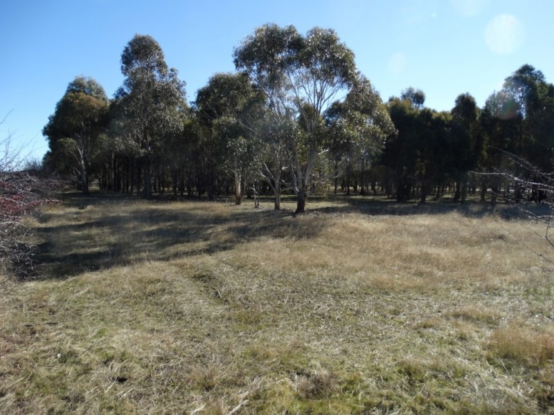 48 High Street, Bothwell TAS 7030