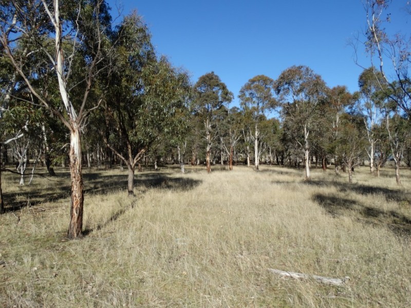 48 High Street, Bothwell TAS 7030