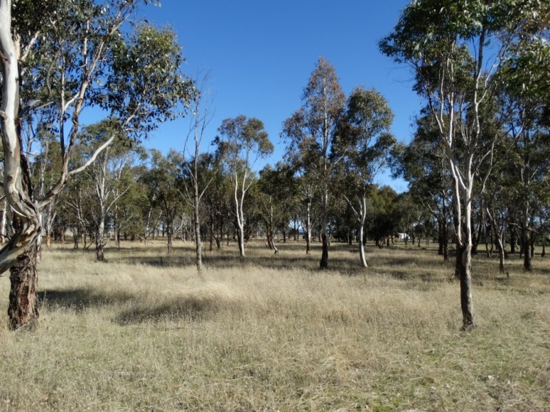 48 High Street, Bothwell TAS 7030