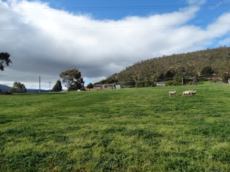 105 Saddle Road, New Norfolk TAS 7140