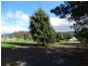 105 Saddle Road, New Norfolk TAS 7140