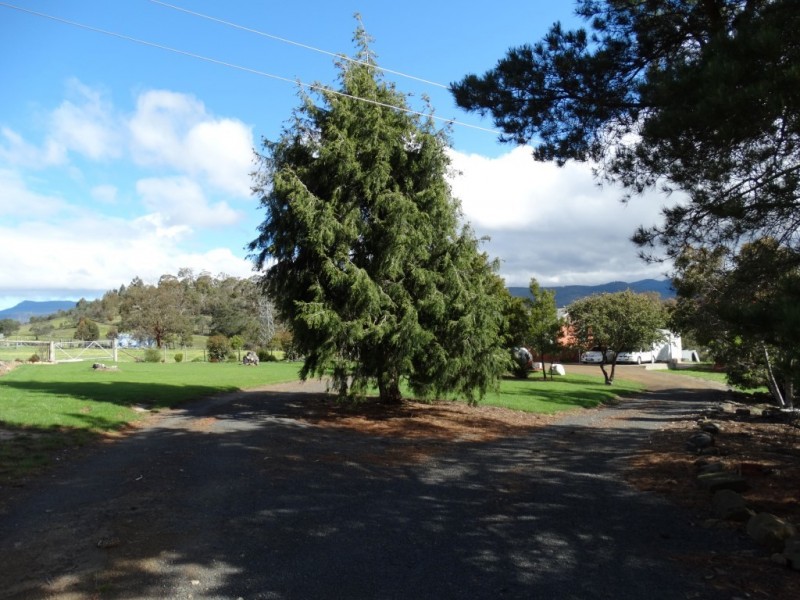 105 Saddle Road, New Norfolk TAS 7140