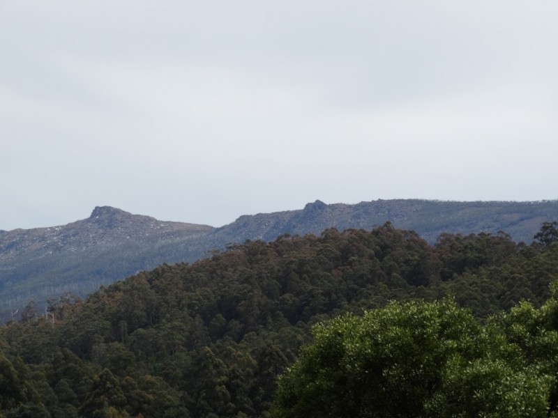 24 Junee Road, Maydena TAS 7140