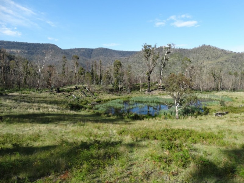 23 Mountain Place, Molesworth TAS 7140