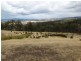 Lot 1 Woolpack Road, Gretna TAS 7140