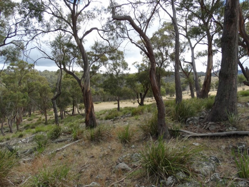 Lot 1 Woolpack Road, Gretna TAS 7140