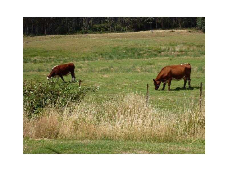 3001 Gordon River Road, Tyenna TAS 7140