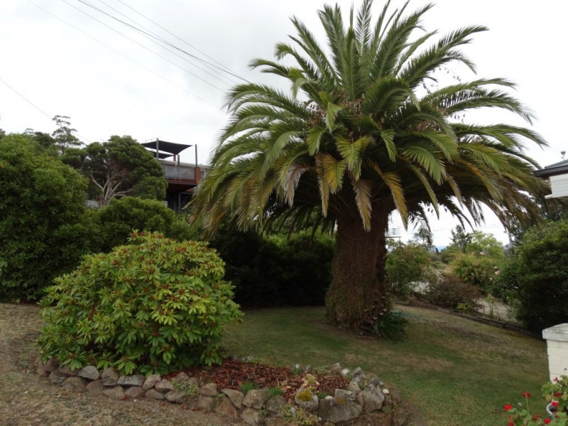 4 Trevor Terrace, New Norfolk TAS 7140